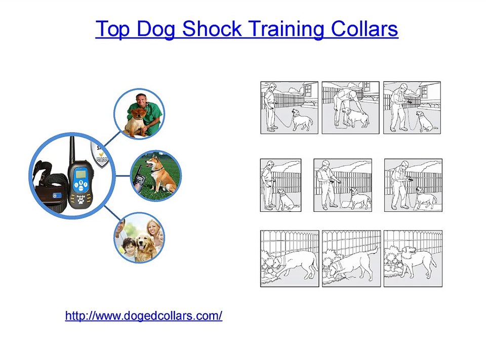 Top Dog Shock Training Collars