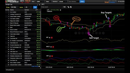 GETTING STARTED WITH NSEData.com