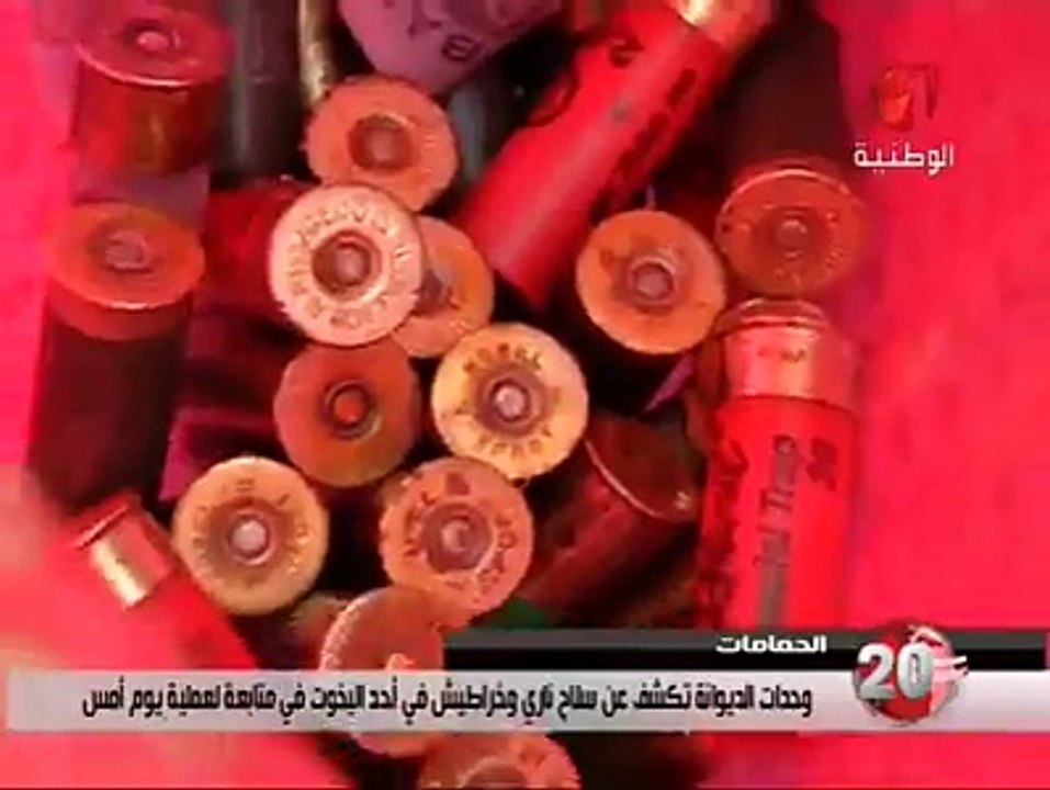 القبض على البلجيكي صاحب حاوية الأسلحة بنابل