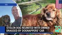 Stolen dog reunited with owner, who was dragged by dognappers' car
