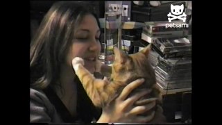 Cat can't get woman to shut up