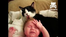 Cat gives baby a tongue bath