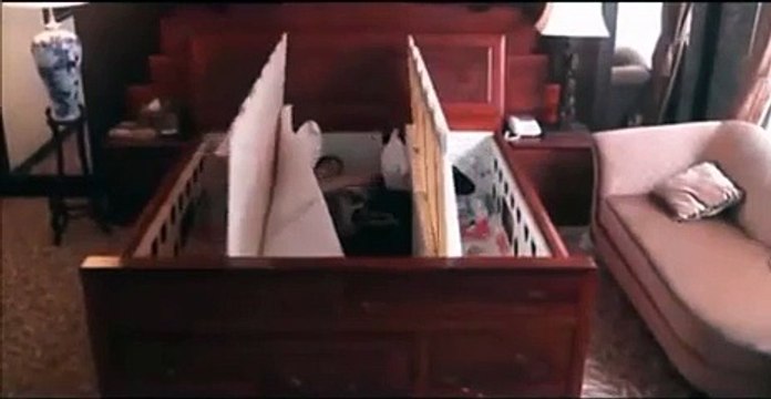 Japonlar Bunu da Yaptı!