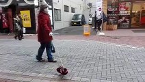Japonlar Bunu Da Yaptı.. Görünmez Köpek!