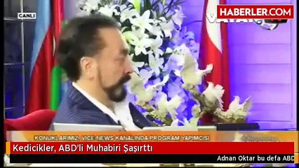 Kedicikler, ABD'li Muhabiri Şaşırttı!!