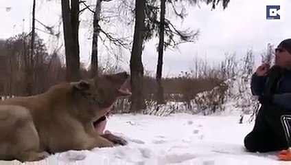 Kızdaki Cesarete Bayıldım !!