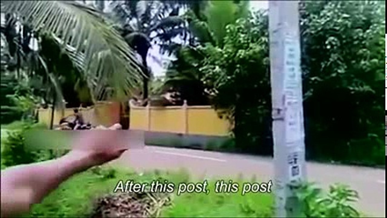 Top Funny Videos 2015 - Funny vines 2015 - Try not to laugh or grin challenge - Funny Videos part 5