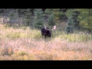 Hitmen Canada - Jason's Awesome Season