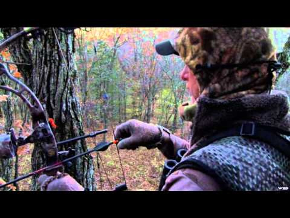 Adrenaline Junkies  - Iowa