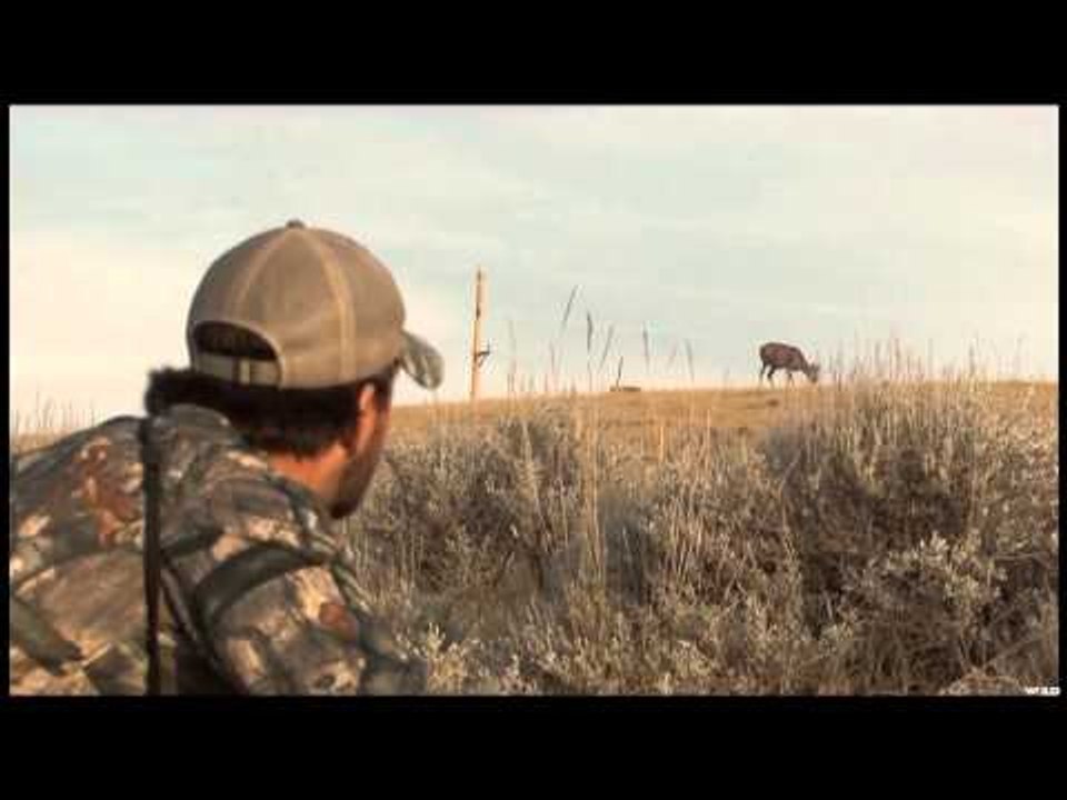 Top Outdoor Producer  - A Jaw Dropped, Wyoming Mule Deer