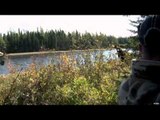Hitmen Canada - Ontario Moose Hunt