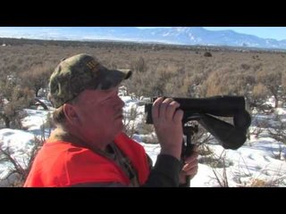 Dead Down Wind's Live the Wild Life - New Mexico Mule Deer