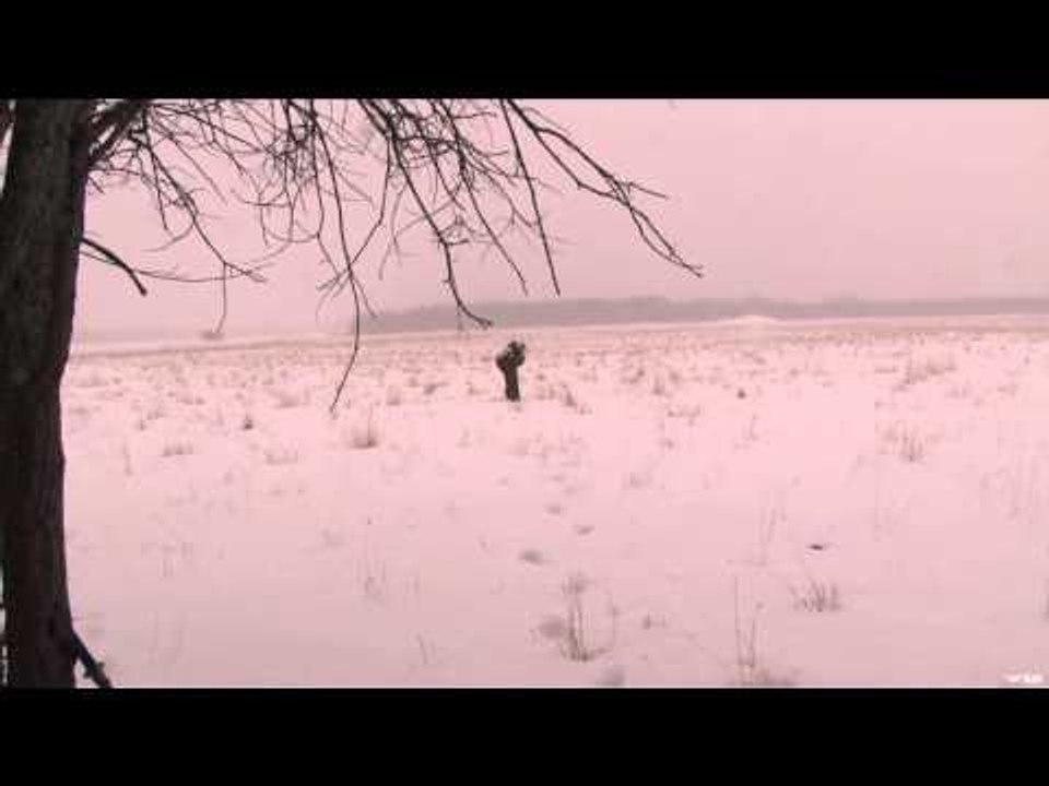 Predator Nation - Alberta Coyote Hunt