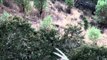 Extreme Outer Limits TV - Long Range Oregon Blacktail Hunt