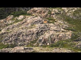 Nosler's Magnum TV  - Alaska Cast & Blast