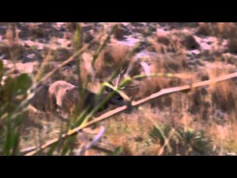 Buck Ventures Outdoors - New Guys