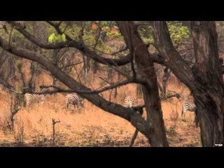 Nosler's Magnum TV  - Adventures of Smith & Dunham Part 2