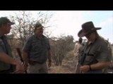 Where in the World is Colorado Buck?  - Quagga Safaris Plains and African Lion Hunt