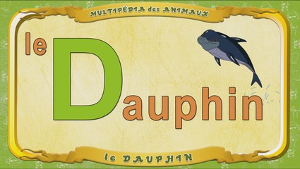 Multipédia des animaux. La lettre D - le Dauphin