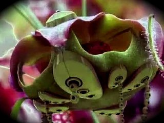 マミさんがきのこをしゃぶるだけ