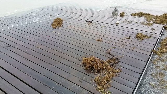Grande Marée au Mont-Saint-Michel