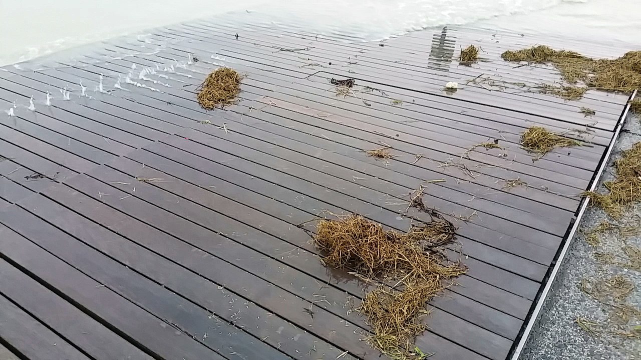 Grande Marée au Mont-Saint-Michel