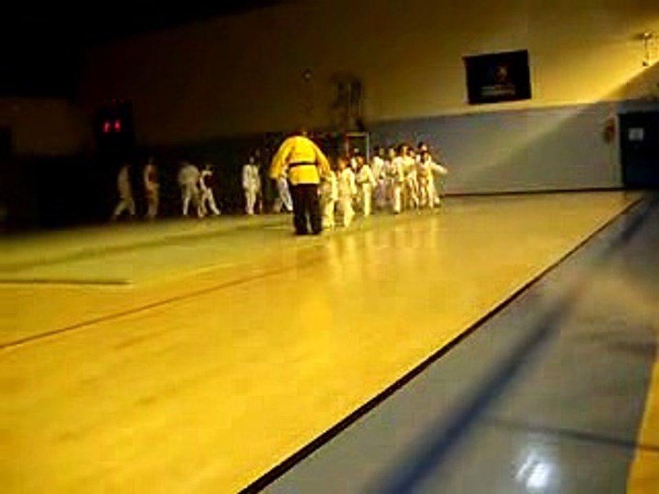 telethon 2015 taekwondo alfortville