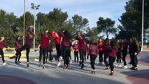 Dans le cadre de l'euro 2016, un concours national de Flashmob a été organisé par l'UNSS. Nous y participons et espérons que cette vidéo vo