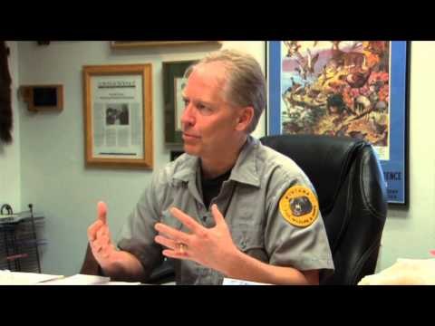 Silent Draw Outdoors - Montana Wolf