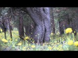 Outdoor Edge Love of the Hunt  - Gila Elk Show 2013