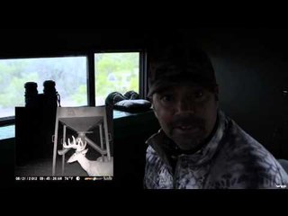 Primal Instinct - It All Starts Now