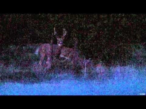 Buck Ventures Outdoors - Saltgrass Muzzleloading