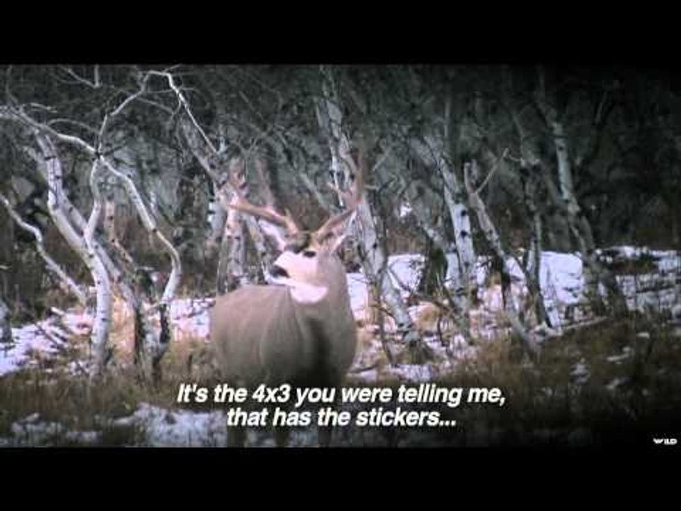 Live 2 Hunt - River Kings