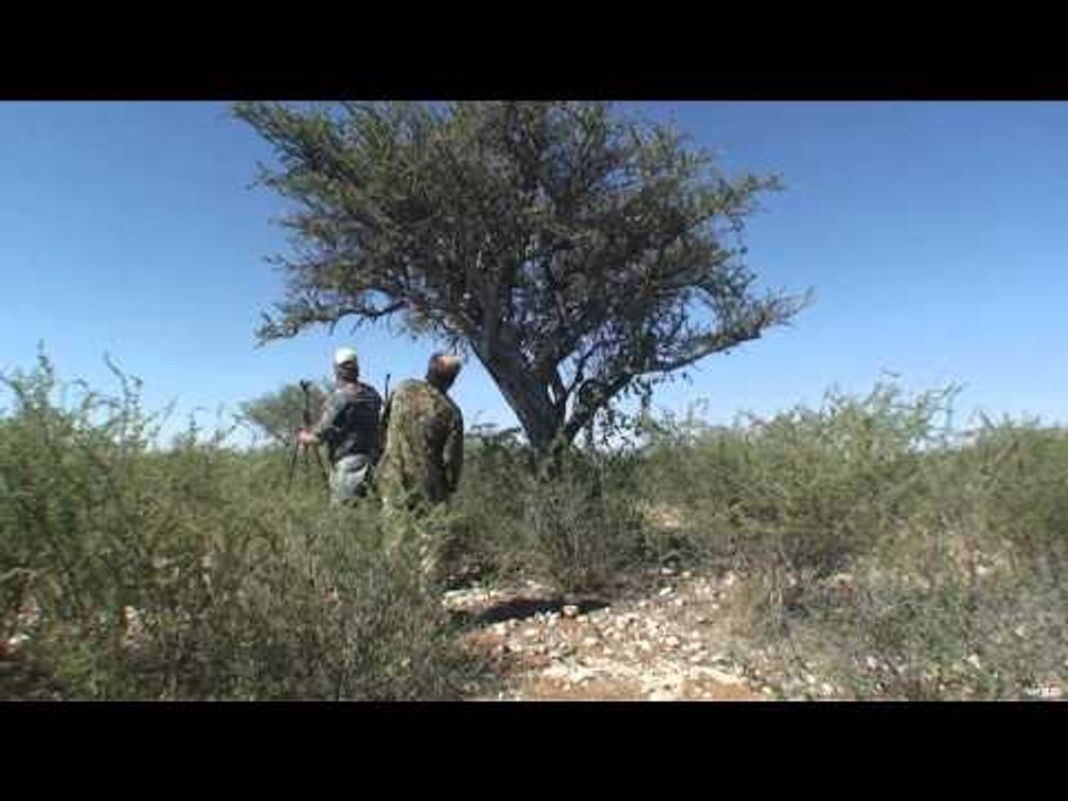 African BBQ Hunter - Namibia Black Wildebeest