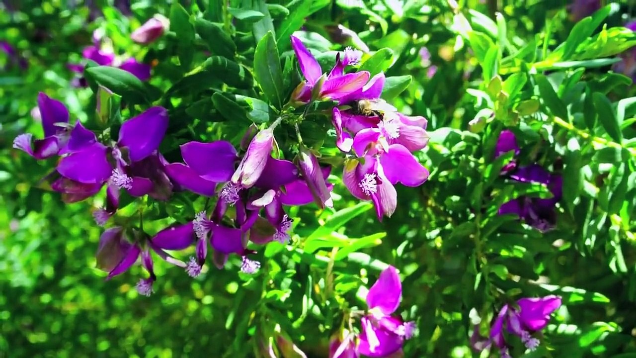 Gîte Le Bois d'Amourette - Location bormes les mimosas