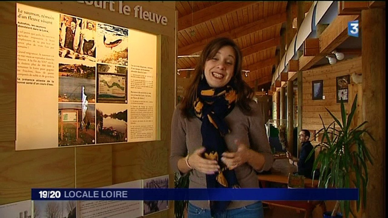France 3 Loire - 10 février 2016
