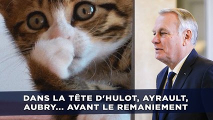 Spoiler: Dans la tête d'Hulot, Placé, Ayrault, Aubry avant le remaniement