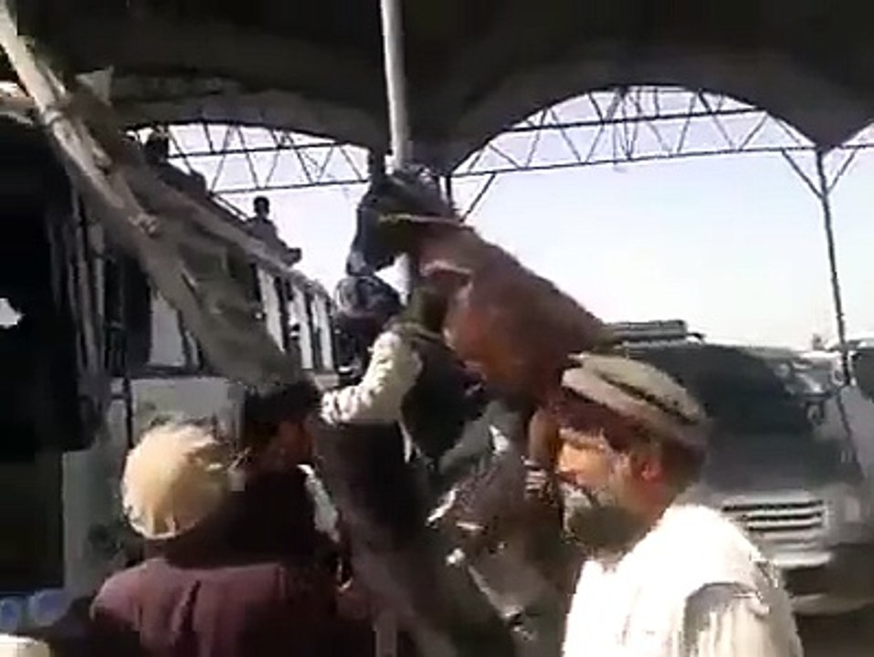 Pathan power