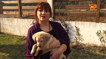 Ne Shtepine Tone, 11 Shkurt 2016, Pjesa 3 - Top Channel Albania - Entertainment Show