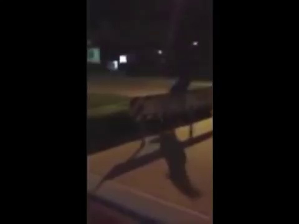 Музыкальные приколы! Смотри до конца, Мега ржачные приколы!! Улетное видео!!