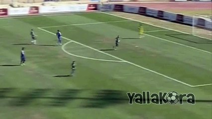 محمود السيد