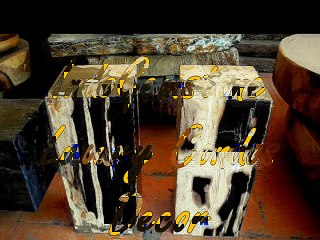 LUXURY CONDOS DECORATIONS