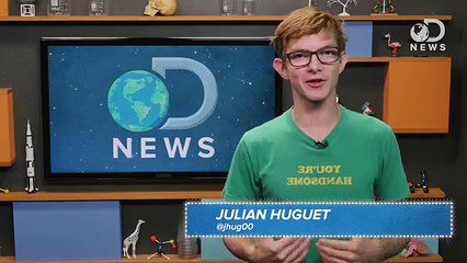 Why Don’t Some People Have Rhythm