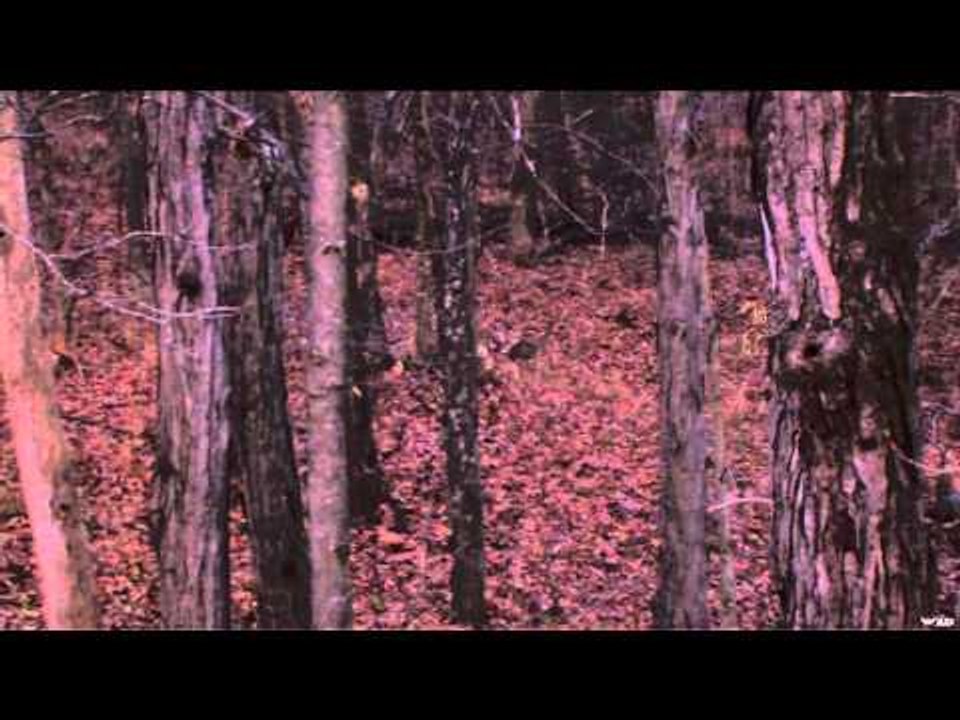 Archer's Choice - Buffet Show