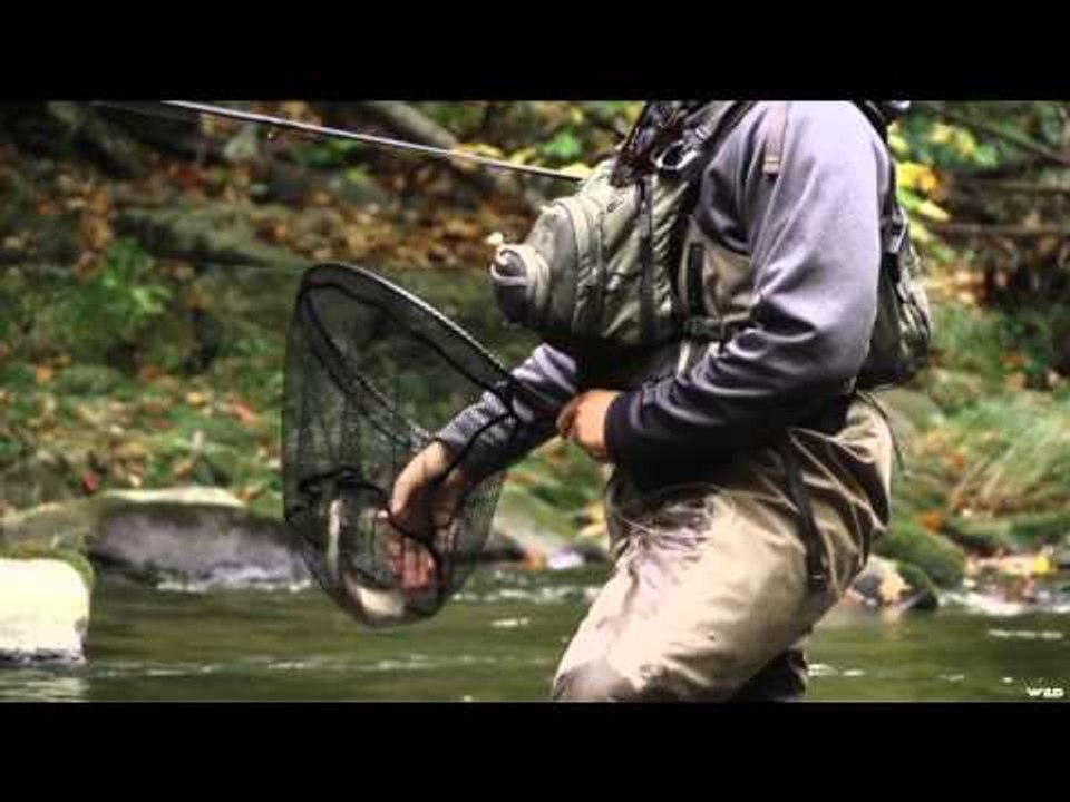 In the Loop - Kevin Howell - Davidson River