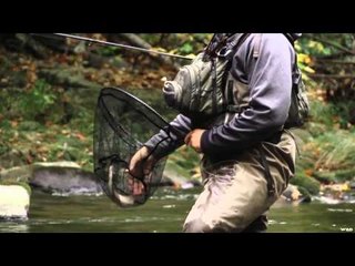 In the Loop - Kevin Howell - Davidson River