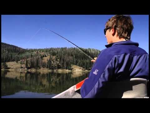 In the Loop - Josh Stephens - Jackson Hole