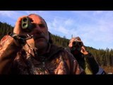 Nosler's Magnum TV  - Bowhunting BC Moose