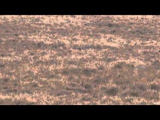 Outdoor Quest TV - Impala and Mountain Reed Buck in South Africa