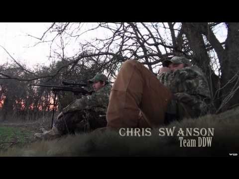 Dead Dog Walkin' - Kansas Coyotes